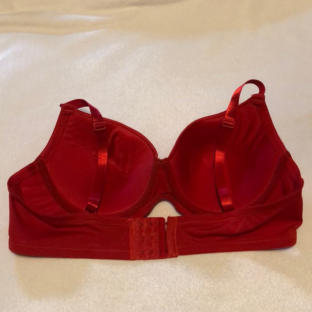Beautiful Bra - Picture 2 of 3